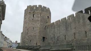 Caernarfon Castle 🏰 North Wales 🇬🇧 🇬🇧 uk northwales travel [upl. by Jamilla]