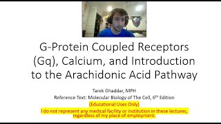 Gq Protein Coupled Receptors Calcium and Introduction to the Arachidonic Acid Pathway [upl. by Laumas592]