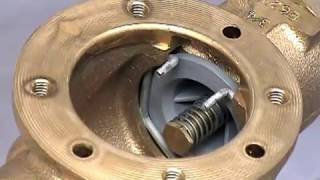 Flomatic DCVE 34quot  2quot Backflow Repair Video [upl. by Mart127]