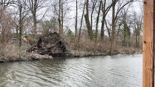 IJsvogelwand ingestort ‘Ik hoop dat het op tijd hersteld is’ [upl. by Vigen]