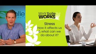 Why Solle Works 111224 Stress [upl. by Akinal]