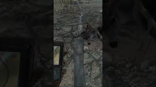 300 NonTypical Mule Deer on Timbergold Trails  TheHunter Classic hunting deerhunterclassic th [upl. by Suinuj]