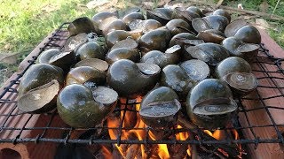 RIVER SNAIL  Snail Grilling Recipe  Grilled Snail with Yummy Ingredient [upl. by Atinid]