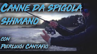 Pierluigi Cantafio e le canne da Spigola Shimano [upl. by Ennovehc]