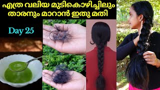 Best hair fall amp dandruff treatment at home❤Best hair Regrowth pack❤Forehead hair loss remedy [upl. by Wilhide]