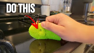 The Secret to Cleaning a Gas Stove Top [upl. by Spiro]