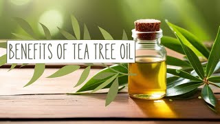 The Ultimate Guide to Tea Tree Oil Endless Benefits [upl. by Ahsiekrats]