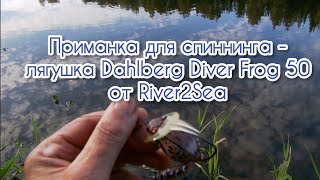 Приманка для спиннинга  лягушка Dahlberg Diver Frog 50 от River2Sea [upl. by Kaltman]