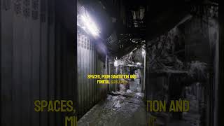 Inside Kowloon Walled City The Worlds Most Notorious Vertical Slum [upl. by Ayle]