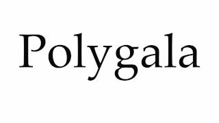 How to Pronounce Polygala [upl. by Alimhaj]