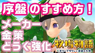 【牧場物語】序盤の注意点、金策、道具の強化順！メーカーや食事など【 オリーブタウンと希望の大地  攻略ネタバレ注意】 [upl. by Lyris97]