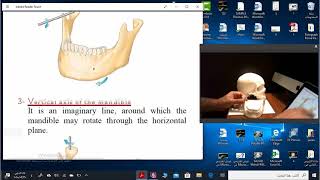 Mandibular movements and mandibulare axes [upl. by Ateekal]