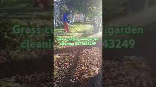 Grass cutting garden cleaning and junk stuff removals company 0677643249 [upl. by Anaiv]