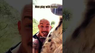 Hyena warm welcome to men wildlife hyena newsupdated7816 [upl. by Airtina137]