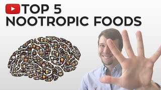 The TOP 5 Nootropic Foods [upl. by Arema]