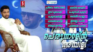 Perunnalin Ambili  New Perunnal Mappila Album songs  latest mappila songs 2016 [upl. by Aileen]