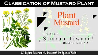 Mustard Classification  Speaker Simran Tiwari  Business Head [upl. by Bergwall721]