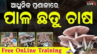 ଆଧୁନିକ ପ୍ରଣାଳୀରେ ଛତୁ ଚାଷ  Mushroom Farming Online Training  How to Start Mushroom Cultivation [upl. by Cameron]