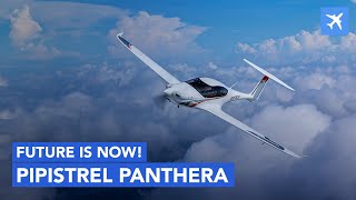 Pipistrel Panthera  Review Specs and Comparison [upl. by Aaron]