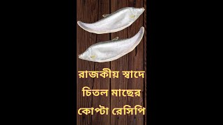 মাছের কোফতা  Fish Kofta Curry Recipe  Chitol Macher Kofta  Fish Recipe  shorts [upl. by Maxim]