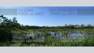 Evaluating Mechanisms for Wetland Restoration and Retention in Alberta [upl. by Anbul817]