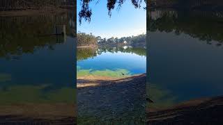 Chollas Lake Morning Walk [upl. by Safko]