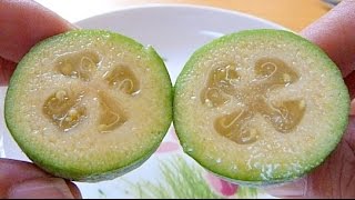 How to eat Feijoa [upl. by Marjie537]