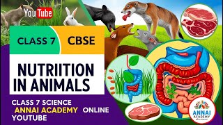 Nutrition in Animals  Class 7 Science CBSE  ANNAI ACADEMY ONLINE SCHOOL [upl. by Holofernes312]