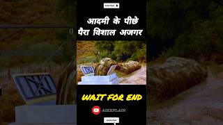 आदमी के पीछे 🤯पैरा विशाल अजगरa1explain moviefacts [upl. by Marsh268]