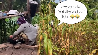 Makai Bari vitra vut niskiyo 😭😭Sathi haru 🥹binitarai Binitavlog1fypシ゚viral Binisavlog12 [upl. by Harv]