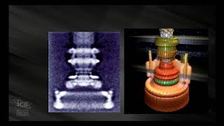 The Bacterial Flagellar Motor [upl. by Stephen]