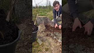 400 Trees Planted in One Day planting [upl. by Yodlem600]