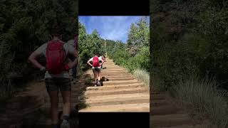 Climb Challenge 1 min Stair Climb [upl. by Paddie475]