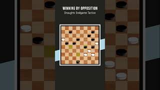 Winning by Opposition  Draughts Endgame Breakdown shorts [upl. by Eidnak948]