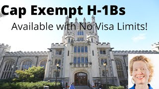 Cap Exempt H1Bs No limit on Visa Numbers [upl. by Hilaria710]