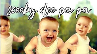 Baby Dance Video competition  Bom Diggy Bom Song  Scooby Doo Pa Pa  music  funny  dance [upl. by Aicenek]