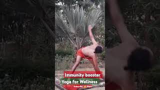 Immunity booster yoga for WellnessSwami ji [upl. by Aniraad]