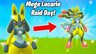 YOU CANNOT MISS MEGA LUCARIO RAID DAY IN POKEMON GO The BEST Fighting Type  Ultra Unlock [upl. by Eirek229]