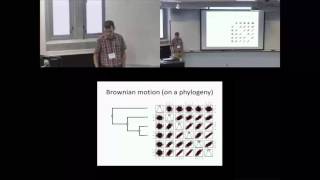 Ancestral state reconstruction for discrete amp continuous traits [upl. by Kitchen]