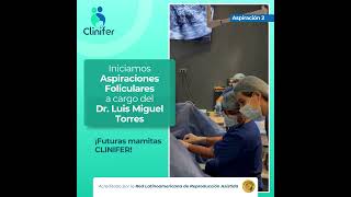 🧪🧫 Aspiraciones Foliculares del Doctor Luis Miguel Torres 👨‍⚕️ [upl. by Drucill481]