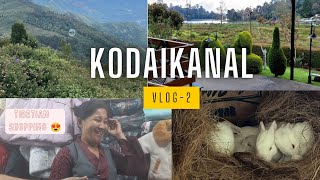 Kodaikanal Vlogs  Tibetian shopping  Coakers view Guna caves Rabit shed [upl. by Latsyrhc126]