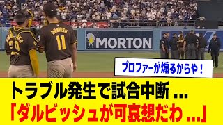 ドジャースVSパドレス ファンとプロファーが大喧嘩で一時試合中断【 プロ野球反応集】 [upl. by Alahs]