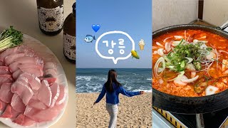 Vlog 1박2일 강릉여행 브이로그  겨울 강릉이 좋은 이유🐟  맛집 카페 소품샵 숙소 추천 [upl. by Ajiram]