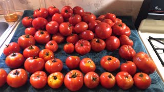 Preserving The Garden  Making and Canning Tomato Juice [upl. by Yraccaz681]