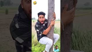 New viral shortvideos comedy funny tiger not cuttanew video [upl. by Eigna]