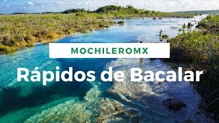 Los Rápidos de Bacalar  Uno de los dos lugares en México con estromatolitos vivos [upl. by Cordier484]