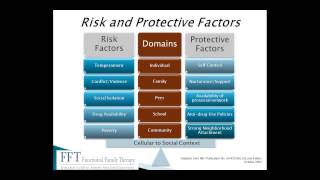 Functional Family Therapy  webinar from February 15 2013 [upl. by Ikkim339]