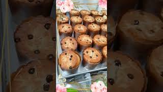 Cake pandan dan muffin vanilla toping keju choco chips [upl. by Nuahsar194]