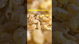 Boswellia Extract A Herbal Remedy For Joint Inflammation  Boswellic acid factory [upl. by Anilatac305]