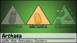 Archaea [upl. by Llenra]